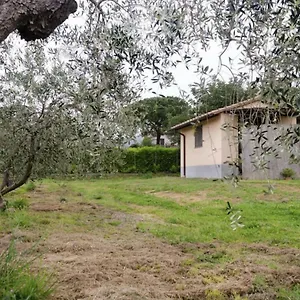 Sotto Castagno , Castiglione della Pescaia Italia